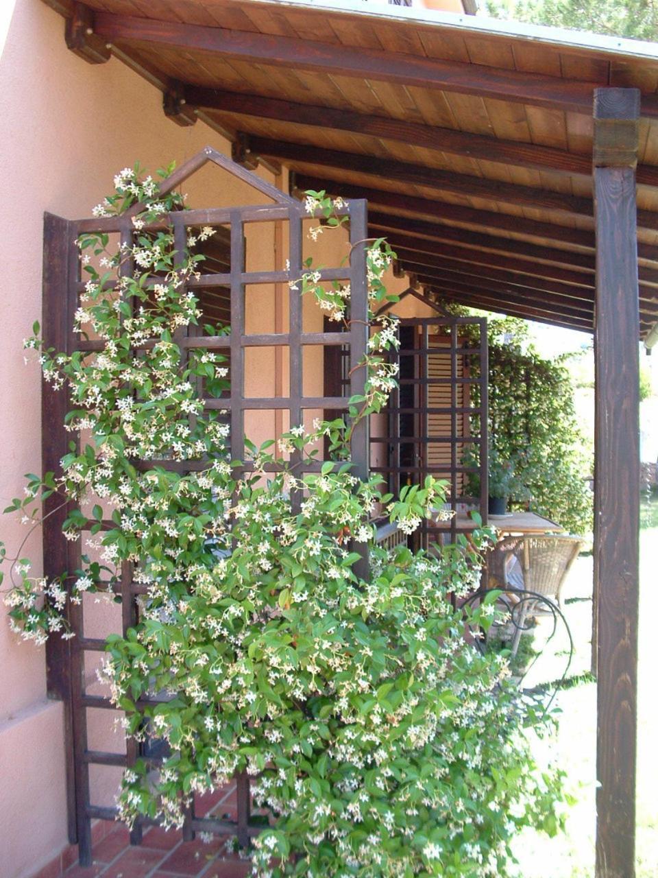 Agriturismo Pian Dei Pini Montiano (Tuscany) Exterior foto