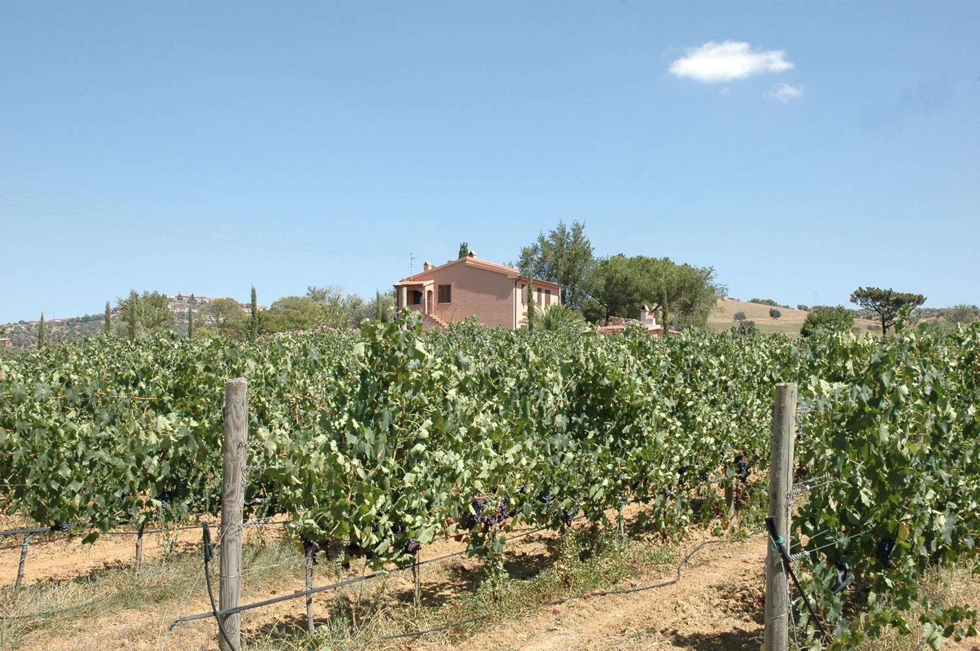 Agriturismo Pian Dei Pini Montiano (Tuscany) Exterior foto