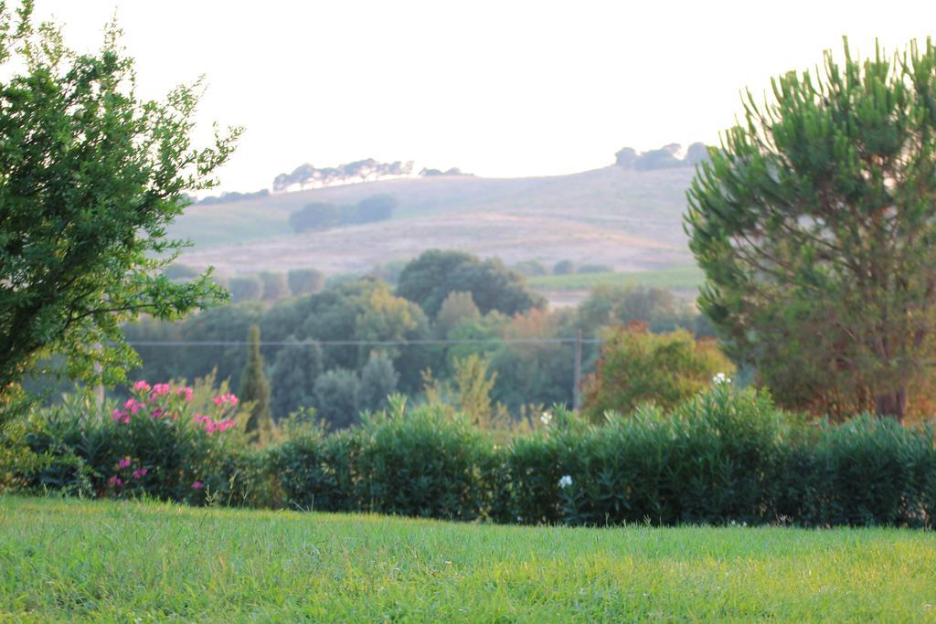 Agriturismo Pian Dei Pini Montiano (Tuscany) Exterior foto
