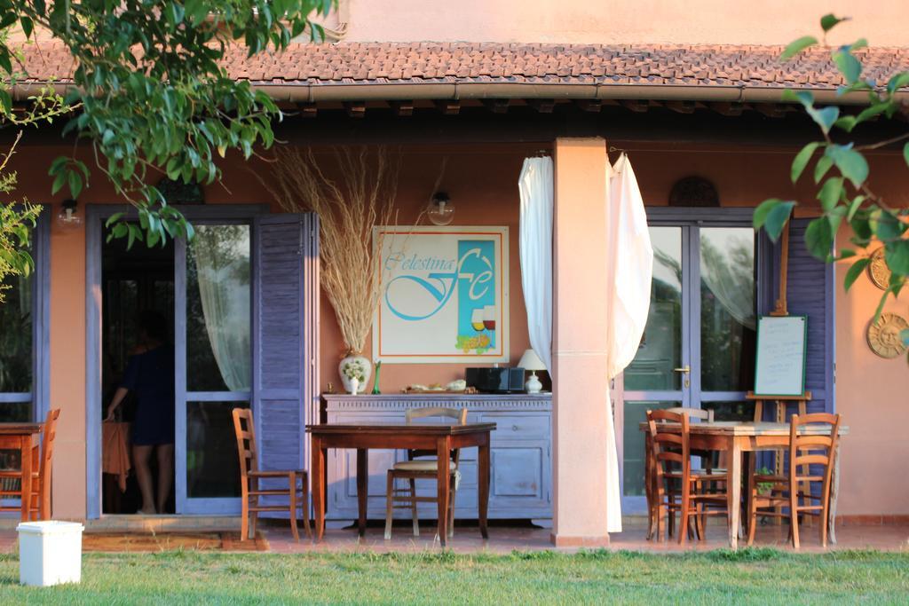 Agriturismo Pian Dei Pini Montiano (Tuscany) Exterior foto